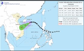 Bão số 12 đổi hướng, Nam Quảng Trị - Đà Nẵng có thể mưa đến 900 mm