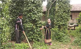 Buôn Thung hôm nay