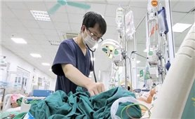 Nhiều ca bệnh nhiễm loại xoắn khuẩn trong nước lũ: Những chú ý trong vệ sinh cá nhân và môi trường sống