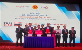 Gia Lai mở rộng hợp tác chiến lược với nhà đầu tư Thái Lan