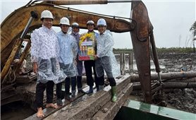 Đảm bảo cung cấp điện miền Nam: EVNSPC quyết liệt trong công tác đầu tư xây dựng