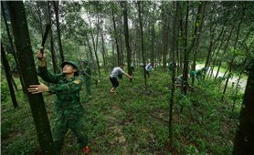 Nhận khoán bảo vệ rừng tạo sinh kế và thu nhập cho người dân