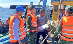 Gia Lai: Rà soát, xử lý dứt điểm các tàu vi phạm vùng biển nước ngoài