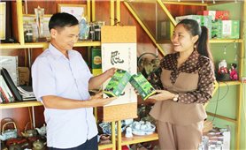 Giữ hồn chè Việt, tạo sinh kế bền vững cho người dân