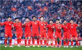 Bóng đá Việt Nam tăng tốc chuẩn bị cho Asian Cup 2027 và SEA Games 33