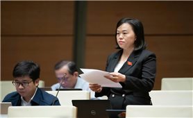 Xây dựng và phát triển vùng trung du và miền núi Bắc Bộ trở thành vùng phát triển xanh