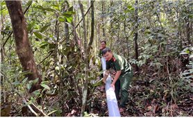 Lan tỏa sức trẻ hành động vì cộng đồng của ở Đắk Lắk