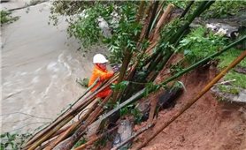 PC Quảng Ngãi: Ứng trực, sẵn sàng khôi phục cấp điện sau mưa lũ