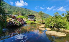 Thức giấc giữa biển mây và sắc màu vùng biên