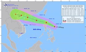 Bão Matmo đi nhanh, hướng vào vịnh Bắc bộ, gây sóng cao 8 mét