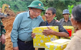 Phó Thủ tướng Chính phủ Hồ Quốc Dũng kiểm tra công tác khắc phục hậu quả thiên tai tại Quảng Ngãi