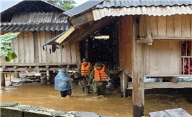 Lào Cai: Khẩn trương ứng phó với cơn bão số 11