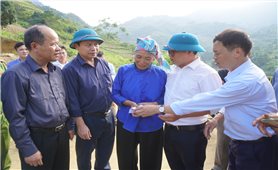 3 người thương vong khi tháo dỡ nhà ở Sín Chéng