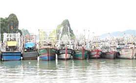 Quảng Ninh huy động hơn 17.000 người ứng phó bão Matmo