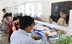 Đà Nẵng triển khai Chiến dịch 90 ngày hoàn thiện cơ sở dữ liệu đất đai