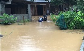 Tình hình mưa bão, thiên tai diễn biến phức tạp trong năm 2025