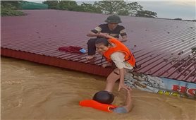 Nếu có kiếp sau, cũng xin là người Việt Nam!