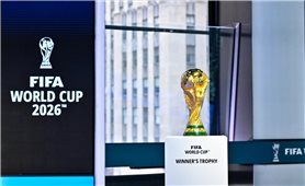 FIFA xem xét thay đổi lớn tại World Cup 2026 bằng cách xếp hạt giống theo thứ hạng FIFA
