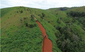 Quảng Ngãi: Xử phạt ông Phan Văn Quyết 20 triệu đồng vì ngang nhiên chiếm đất rẫy của người dân mở đường lên núi