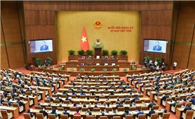 Từ bản làng gửi đến nghị trường Quốc hội: 