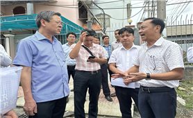 Cần Thơ: Yêu cầu đẩy nhanh tiến độ dự án mở rộng Quốc lộ 91, bảo đảm quyền lợi người dân