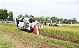 Khẩn trương sắp xếp nhân sự khuyến nông, văn phòng đăng ký đất đai về cấp xã quản lý