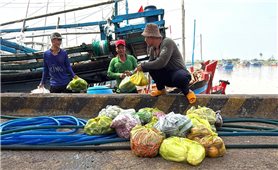 Ngư dân Đắk Lắk đứng lên sau bão