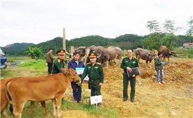 Đoàn Kinh tế - Quốc phòng 338 bàn giao con giống cho đồng bào DTTS thuộc Khu Kinh tế - Quốc phòng Mẫu Sơn