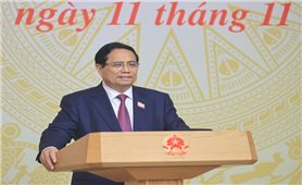 Thủ tướng: Người đứng đầu bộ, ngành, địa phương phải chịu trách nhiệm trực tiếp, toàn diện nếu để tàu cá vi phạm IUU