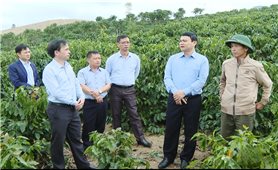 Sơn La: Tăng tốc giải ngân, không để đọng vốn Chương trình MTQG 1719