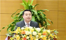 Ông Nguyễn Tuấn Anh được bầu giữ chức Chủ tịch UBND tỉnh Lào Cai