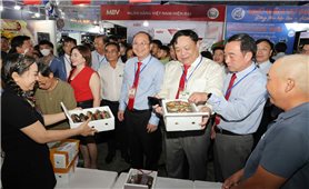 Tôn vinh “Hương rừng - Vị biển”, lan tỏa khát vọng phát triển cực Nam Tổ quốc