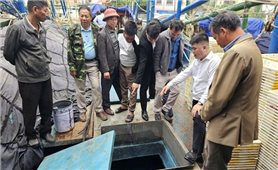 Tăng cường năng lực liên kết sản xuất và chống khai thác IUU trong nghề cá