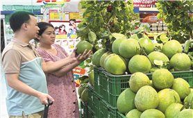 Chuyển đổi số tạo cơ hội cho hợp tác xã vùng đồng bào DTTS