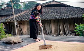 Những vấn đề cấp bách của đồng bào Lô Lô ở Cao Bằng: Nhận diện “điểm nghẽn” về giáo dục (Bài 2)