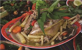 Sâm dây - Hương vị đại ngàn Trường Sơn