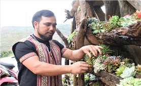 Già làng tuổi 35