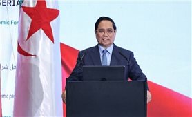 Hợp tác kinh tế Việt Nam-Algeria không có bất cứ giới hạn, cản trở nào