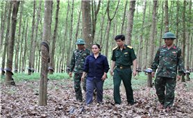 Những người lính gieo mầm xanh, xây dựng vùng biên giới vững mạnh