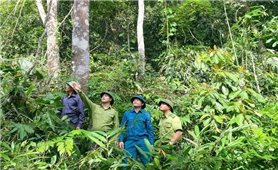 Cộng đồng chung tay 