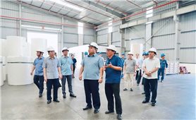 Tuyên Quang bứt phá thu hút đầu tư, tạo động lực cho kinh tế tư nhân phát triển