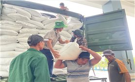 Đắk Lắk cấp 2.000 tấn gạo cho người dân bị ảnh hưởng lũ lụt