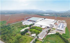 Giấc mơ nông nghiệp công nghệ cao ở Nghệ An