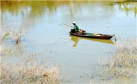 Tái diễn tình trạng đánh bắt cá bằng kích điện hủy hoại môi trường