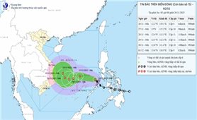 Bão Koto trở thành bão số 15 trên Biển Đông, miền Trung đối mặt nguy cơ mưa lớn trên diện rộng