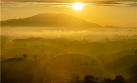 Chiêm ngưỡng vẻ đẹp huyền ảo của đồi chè Long Cốc trong giai đoạn chuyển mùa