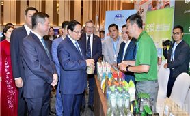 Nâng cao hiệu quả hoạt động và năng lực cạnh tranh cho ngành Logistics Việt Nam