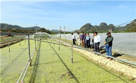 Kịp thời hỗ trợ người dân vùng lũ khôi phục sản xuất nông nghiệp