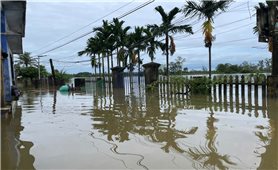 Đà Nẵng chi 210 tỷ đồng khắc phục hậu quả thiên tai