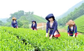 Một số chính sách mới có hiệu lực từ tháng 12/2025